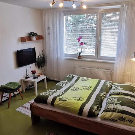Apartman V Jihlava City Eksteriør billede